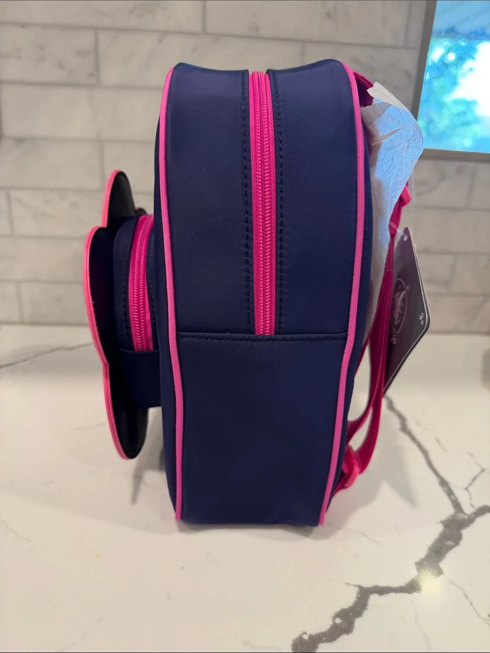 Disney Parks Disney Princess Flower Screen art appliqué Backpack 10